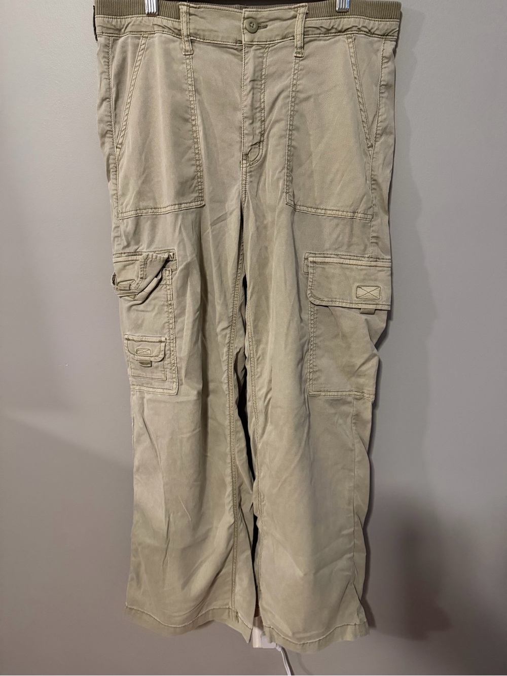American Eagle Outfitters Wide-Leg Cargo Pants — Light Taupe
